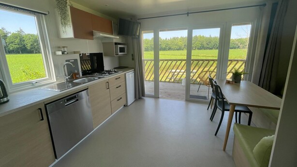 A modern kitchen with a dishwasher, microwave, and a large window overlooking a green field.