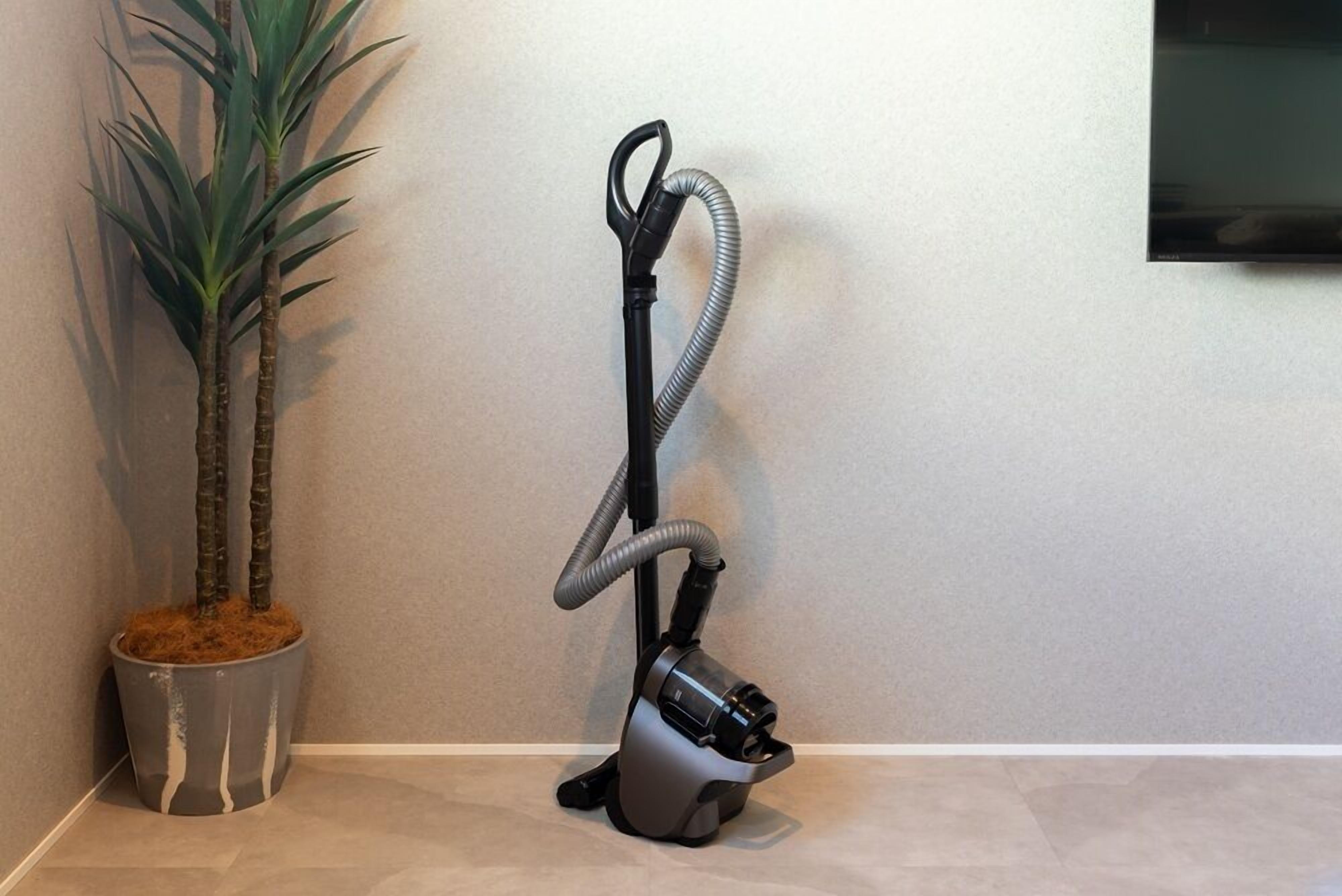 A vacuum cleaner next to a potted plant in a corner with a plain wall and a flat-screen TV mounted on it.