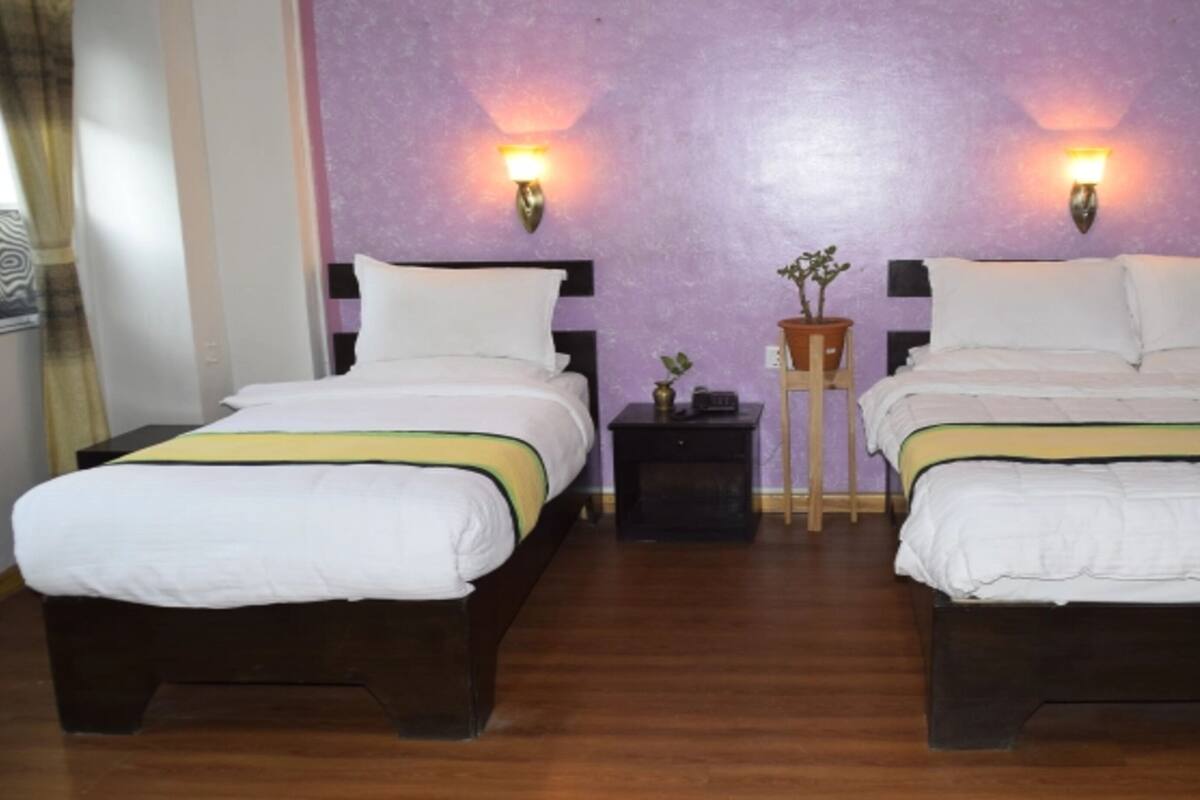 A hotel room with two single beds, wooden headboards, a small nightstand with a plant, and wall-mounted lamps.