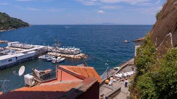Chambre Double Confort | Terrasse/Patio