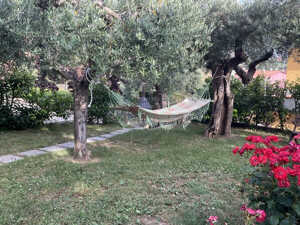 A hammock between trees in a garden with a pathway and red flowers. - The house of roses (Passignano sul Trasimeno)