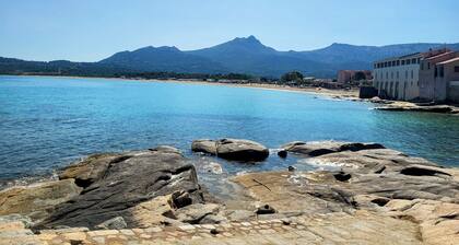En CORSE Appartement neuf T2, Bord de mer, Balagne, Calvi, Ile Rousse, Algajola