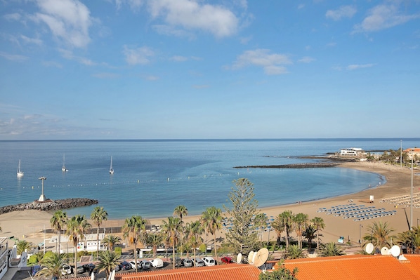 Une vue côtière avec une plage, des voitures garées, des palmiers et des bateaux.