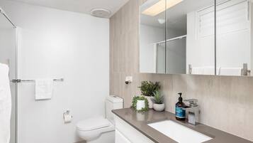 Shower, hair dryer, towels