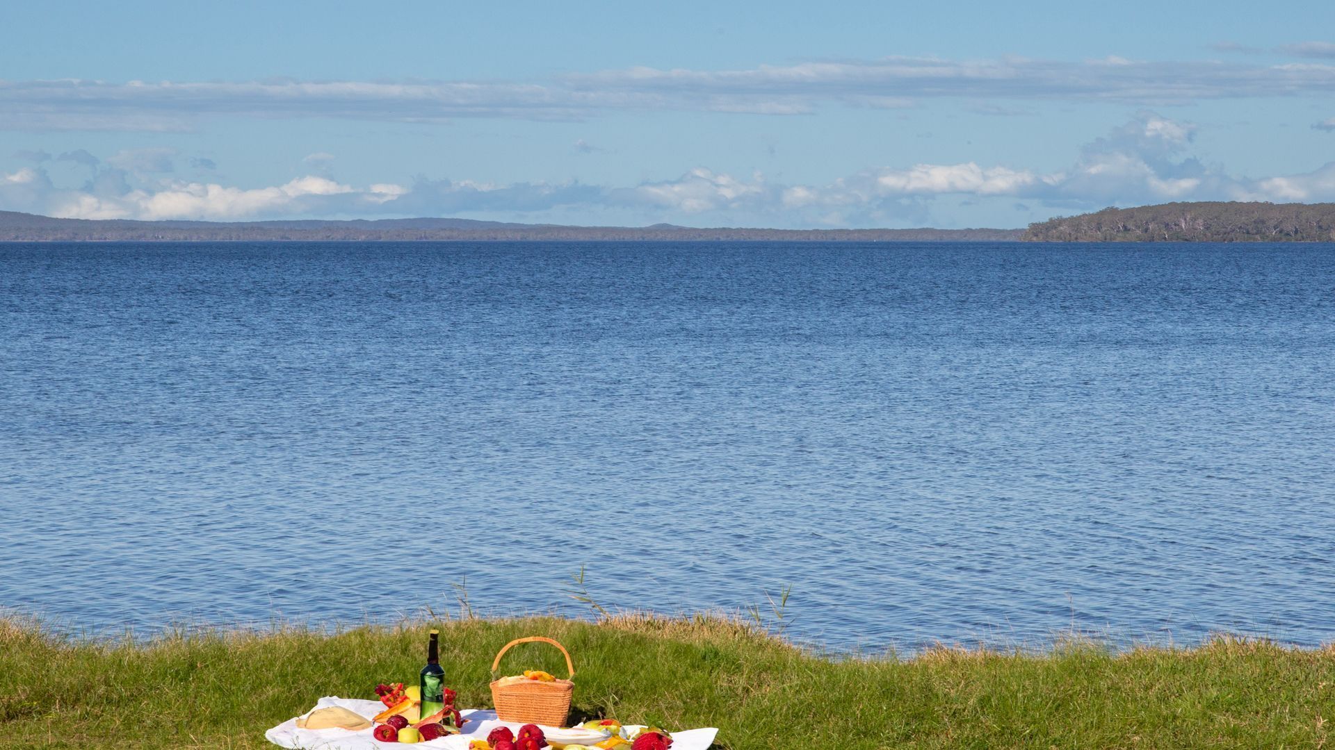 Un montaje para picnic junto a un lago, con una manta, comida y una botella.