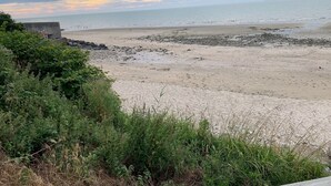 Una playa con costa rocosa y vegetación densa en primer plano.