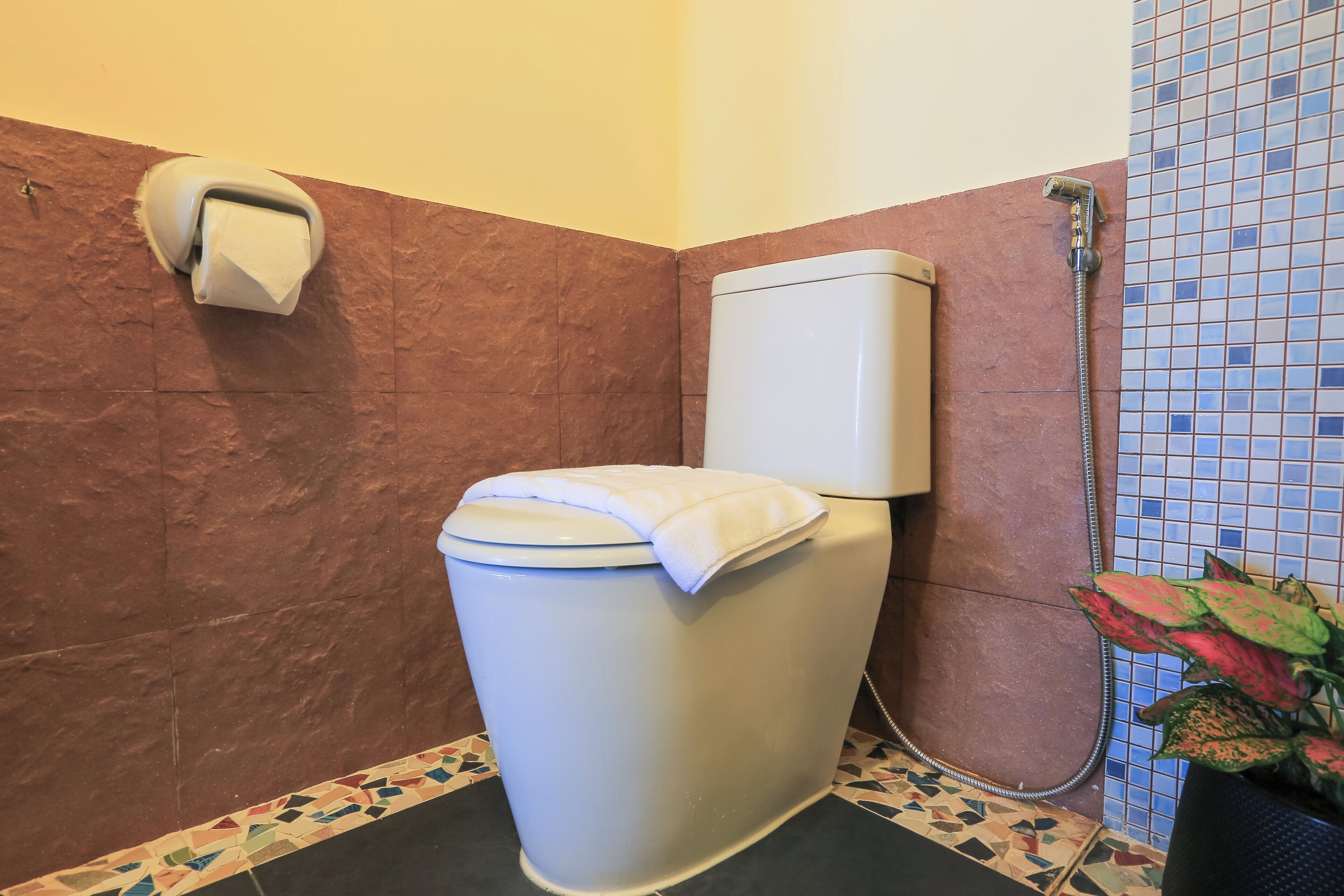 A bathroom with a toilet, a paper towel dispenser, a shower, and a potted plant.