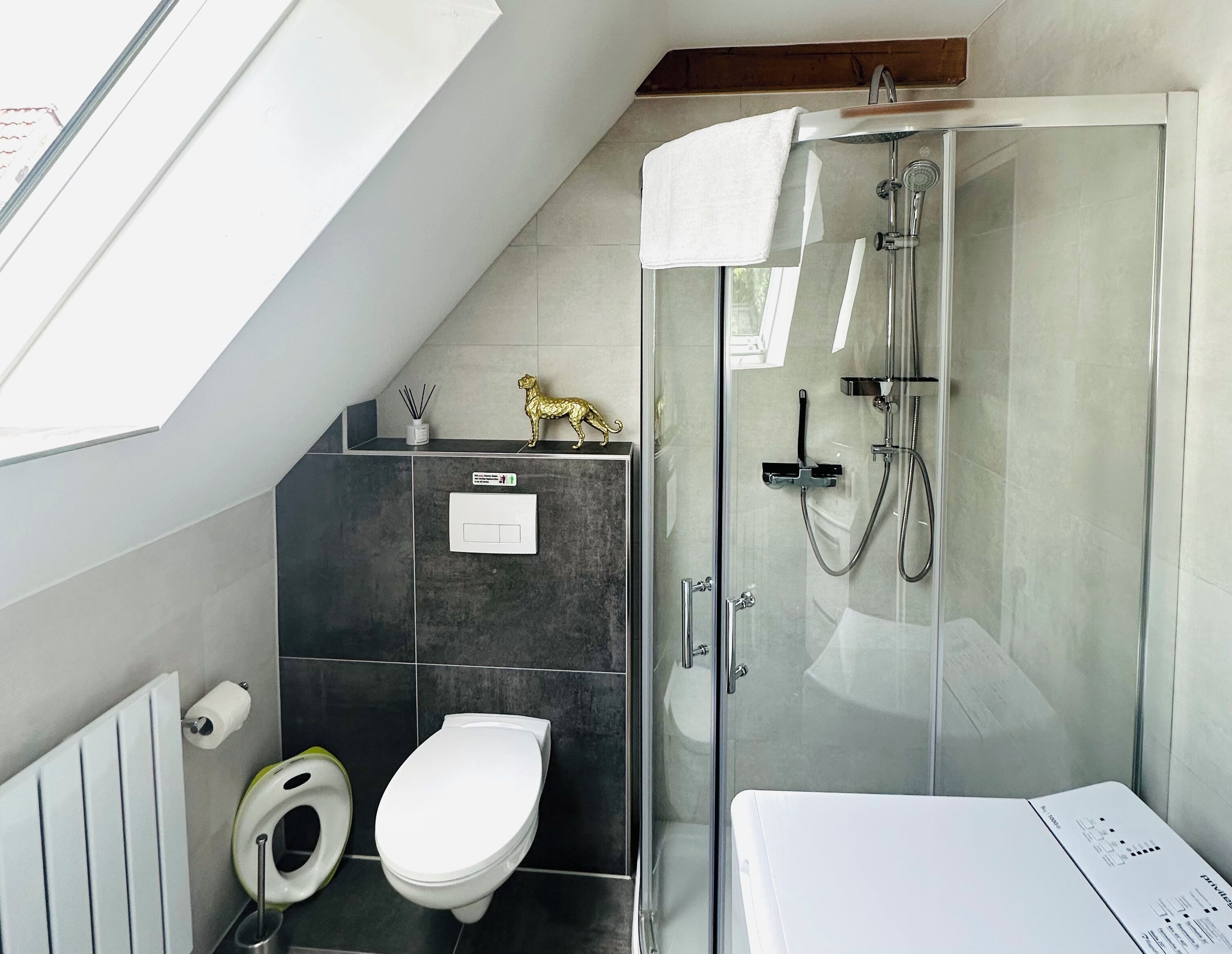 Dusche, Haartrockner, Handtücher, Seife