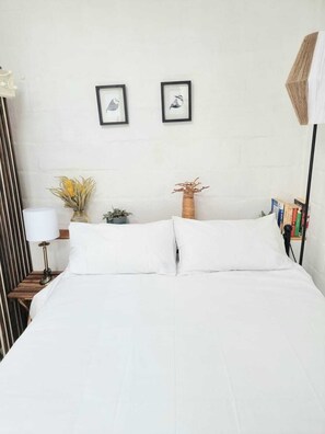 1 chambre, bureau, fer et planche à repasser, accès au Wi-Fi (inclus)