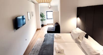 Casa de Ferias no Douro Peso da Régua