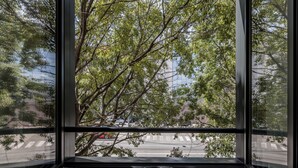 A window with a view of a tree-lined street. - Cora Hotel (Split)
