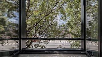 Vista a la calle