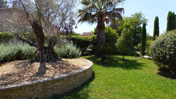 Un jardín ajardinado con un muro de piedra de contención, varios arbustos y una palmera.
