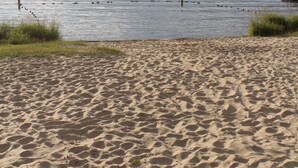 Nær stranden