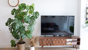 Un salón con un mueble bajo de televisión de madera, una gran planta de monstera en maceta y un reloj de pared.