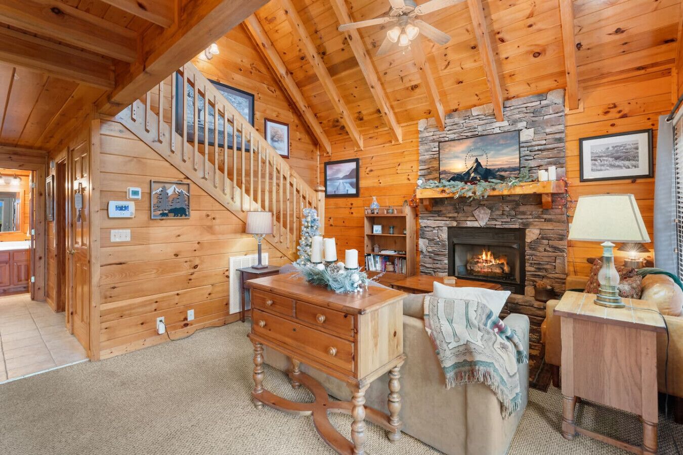 Una televisión, una chimenea, libros