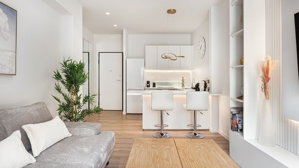 Una sala moderna con un sofá gris, una mesa de centro de madera y una planta verde grande.