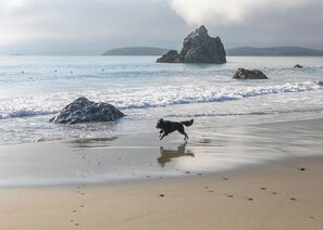 Beach - 7th Heaven - Enjoy stunning views overlooking the 7th green, and the Ocean! (Bodega Bay)