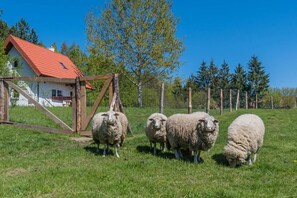 Unterkunftsgelände