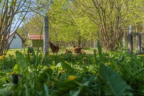 Escape to a serene countryside setting surrounded by lush vegetation and a charming outbuilding.