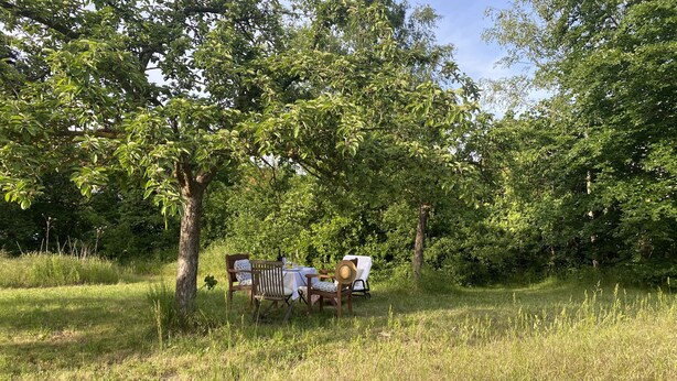 A picnic setup with a table and chairs in a grassy field surrounded by trees.