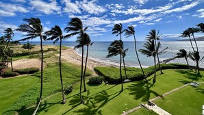 Een tropisch landschap met een strand, palmbomen en een heldere lucht.