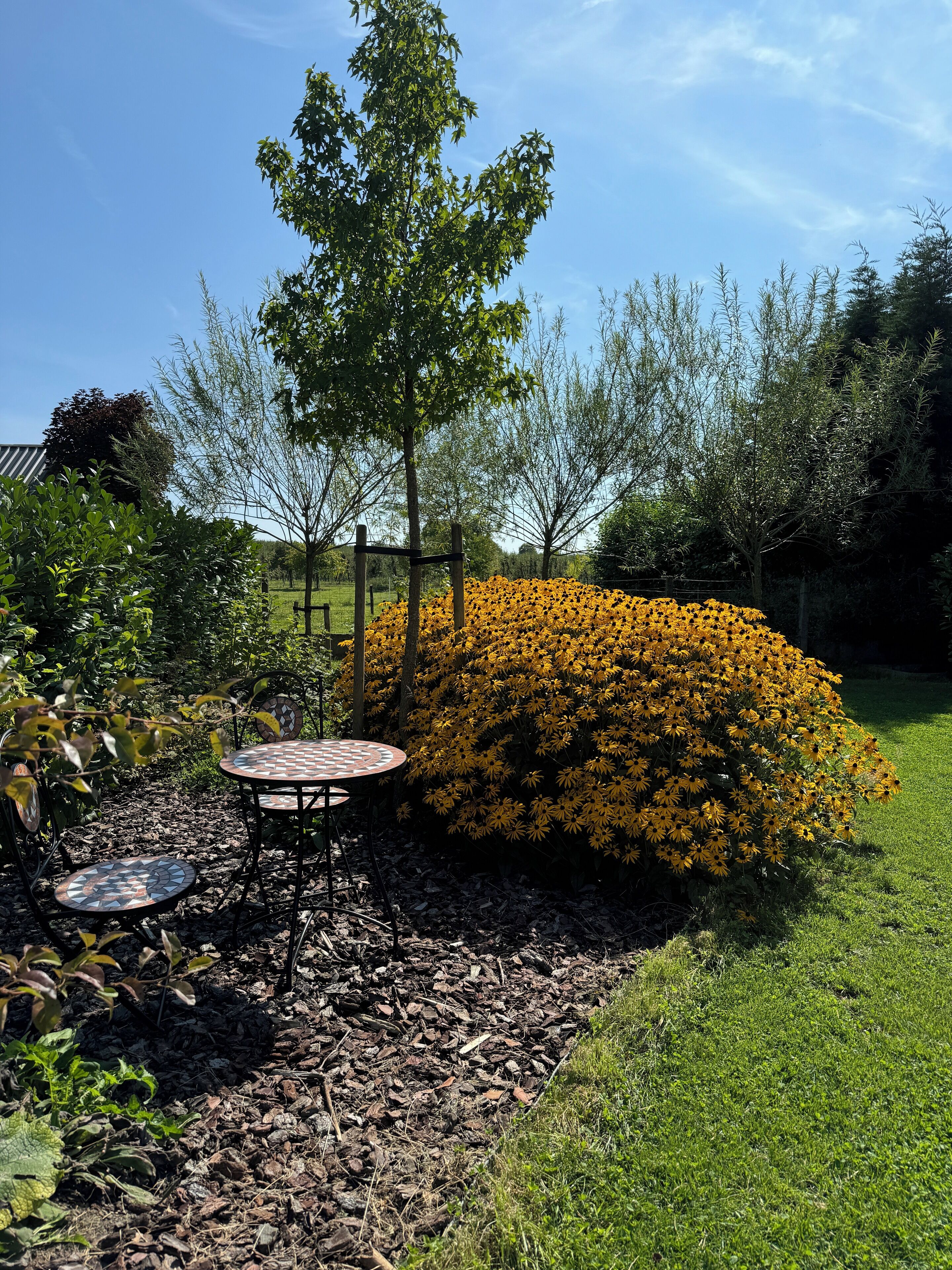 Udendørs spisemuligheder