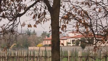 A stone bench and picnic table in a park with a vineyard in the background.