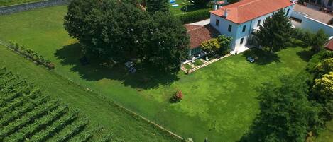 Vista aérea de um bairro residencial com uma casa grande, gramado bem cuidado e um vinhedo.