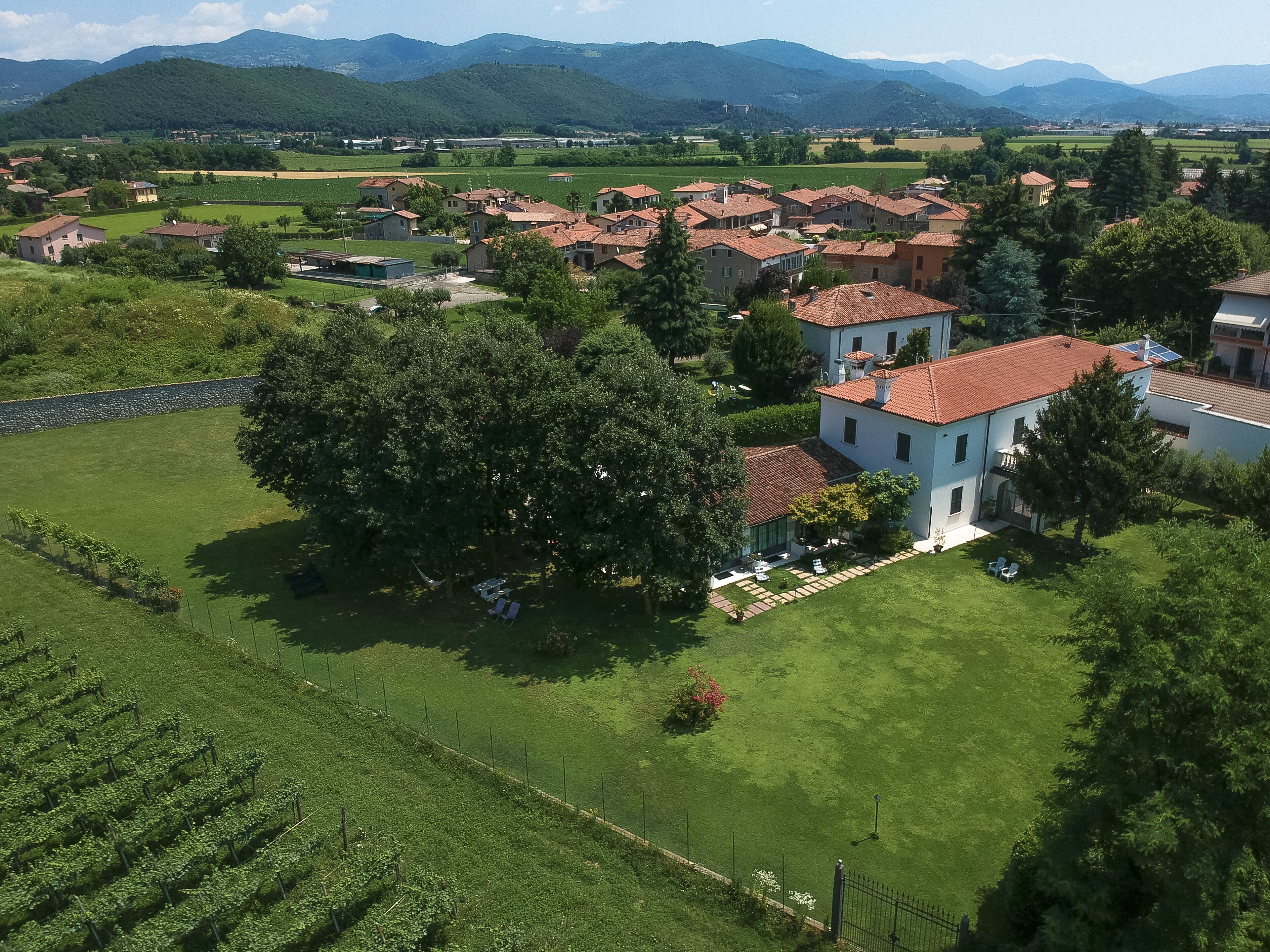 A rural area with houses, a large tree, and fields.