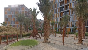 A modern building with multiple floors and balconies, surrounded by palm trees and a landscaped area with benches and a small pond. - Classic Studio at Mesk 1 Midtown Dubai Production City by Deluxe Holiday Homes (Dubai)