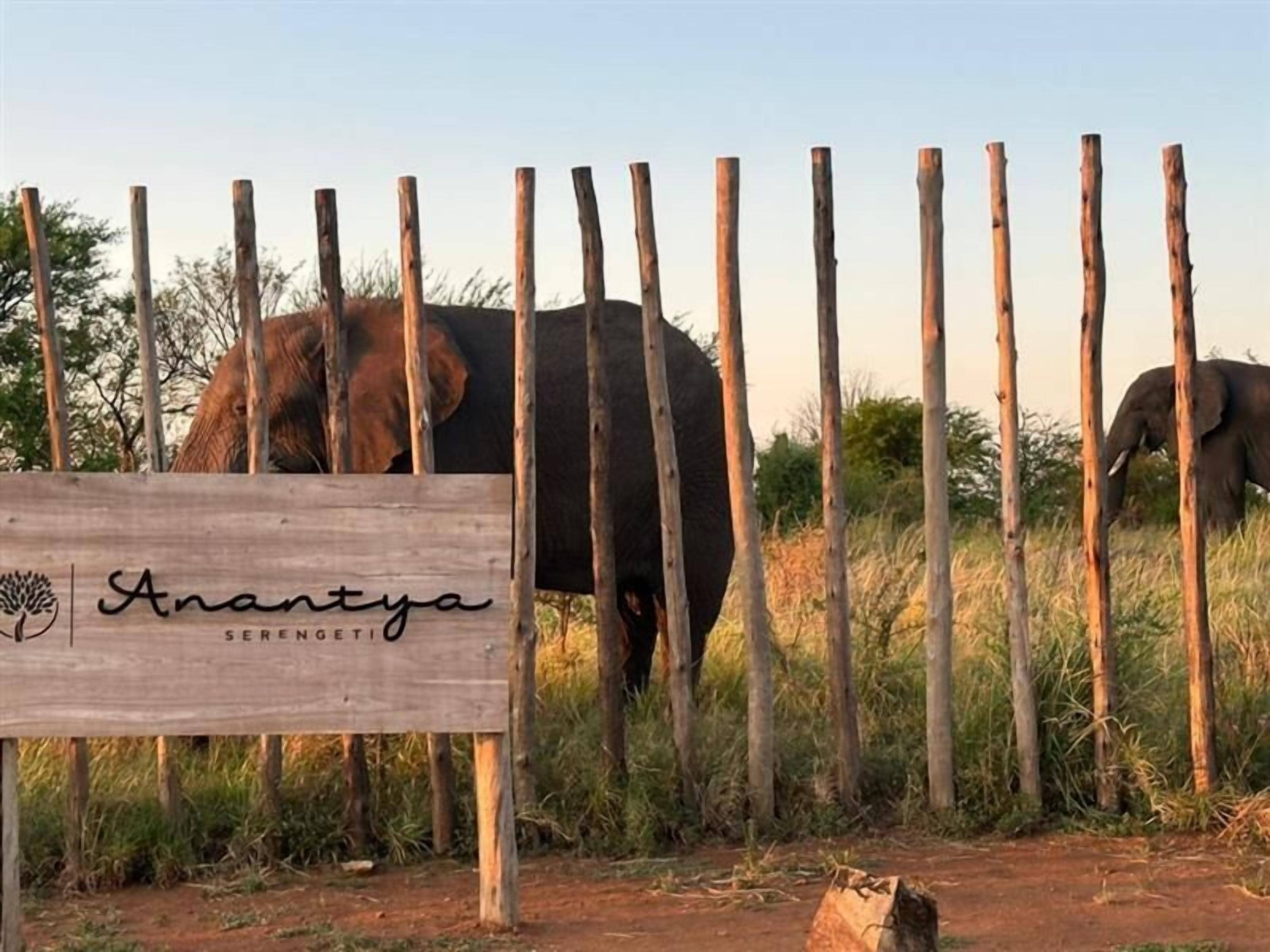 A wooden sign with the name "Anantya Serengeti" and a giraffe behind a fence.