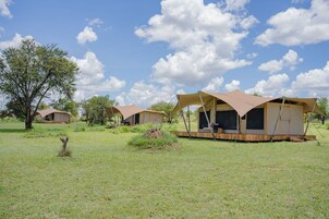 Um camping com várias barracas, cada uma com um deck de madeira e um toldo grande.