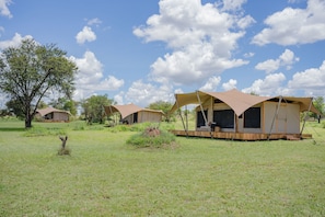 A campsite with multiple tents, each with a wooden deck and a large canopy.