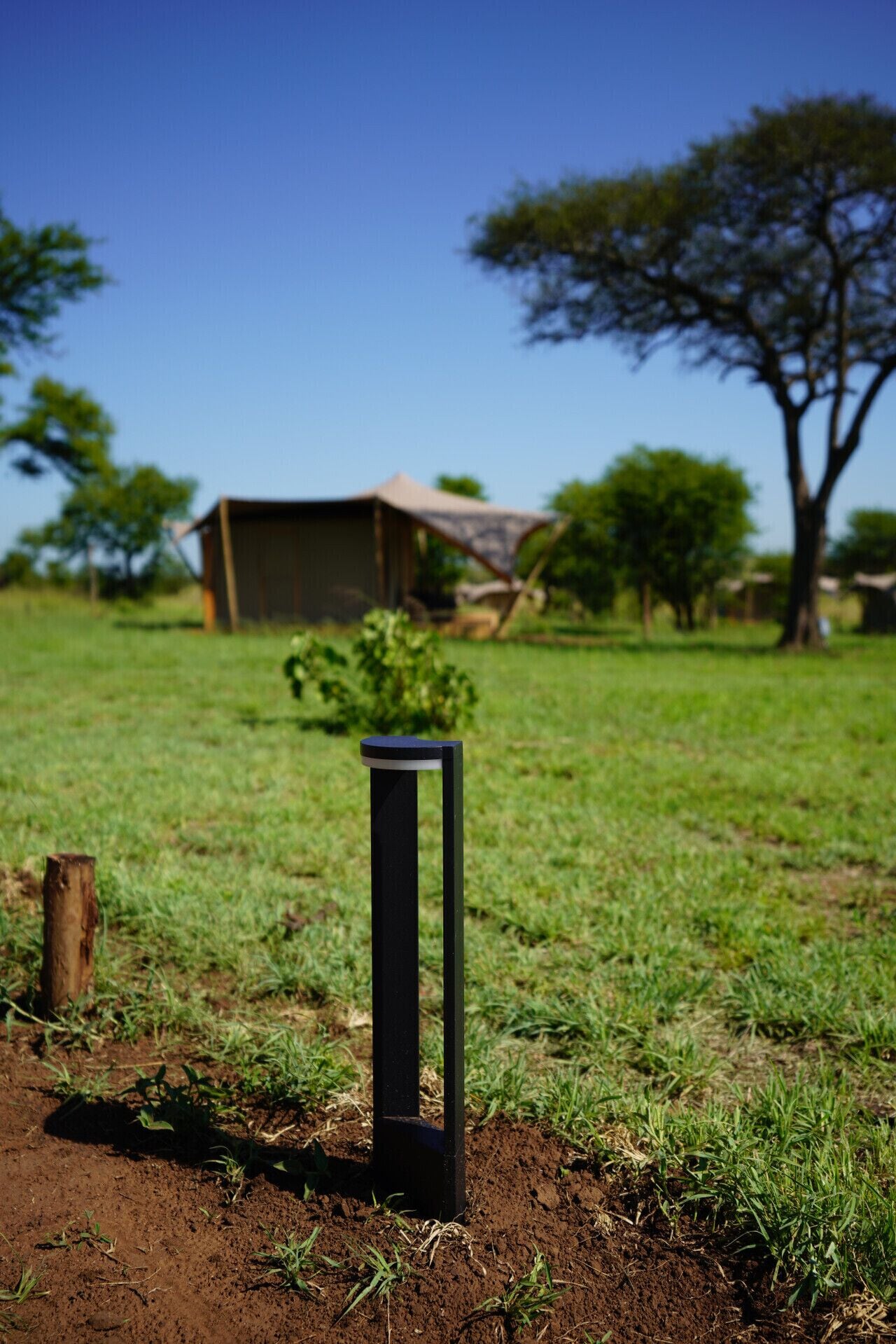 Un objet vertical noir se dresse dans un champ d’herbe, avec un bâtiment et des arbres en arrière-plan.