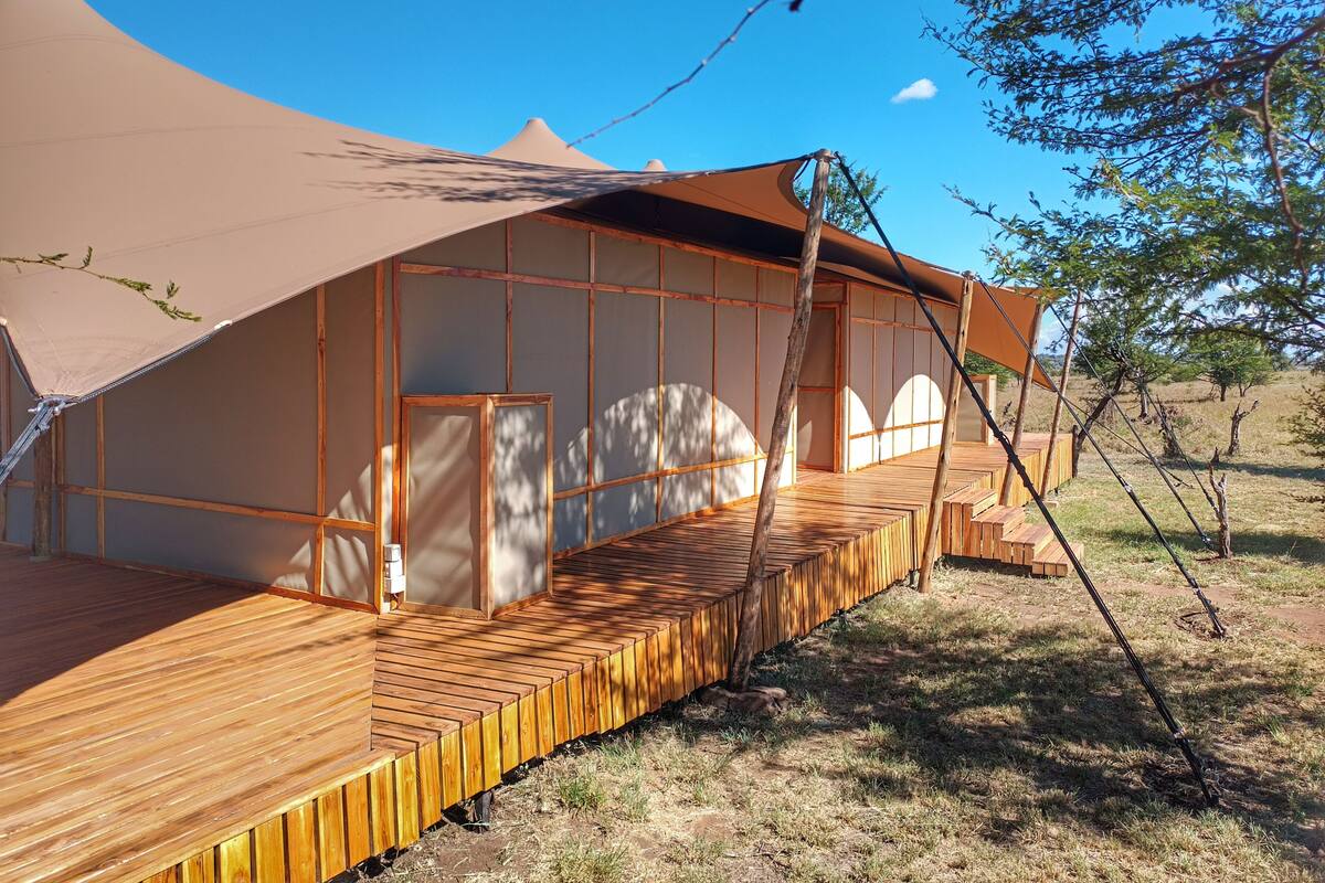 Una estructura con toldo, un muelle de madera y un amplio dosel.