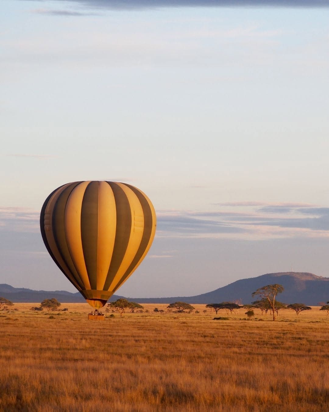A hot air balloon in a vast open field with sparse trees and distant hills.