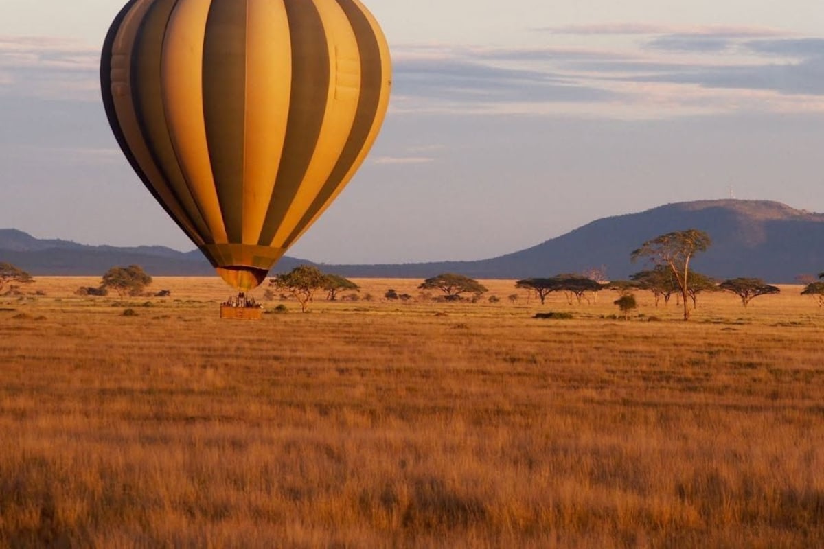 A hot air balloon in a vast open field with sparse trees and distant hills.