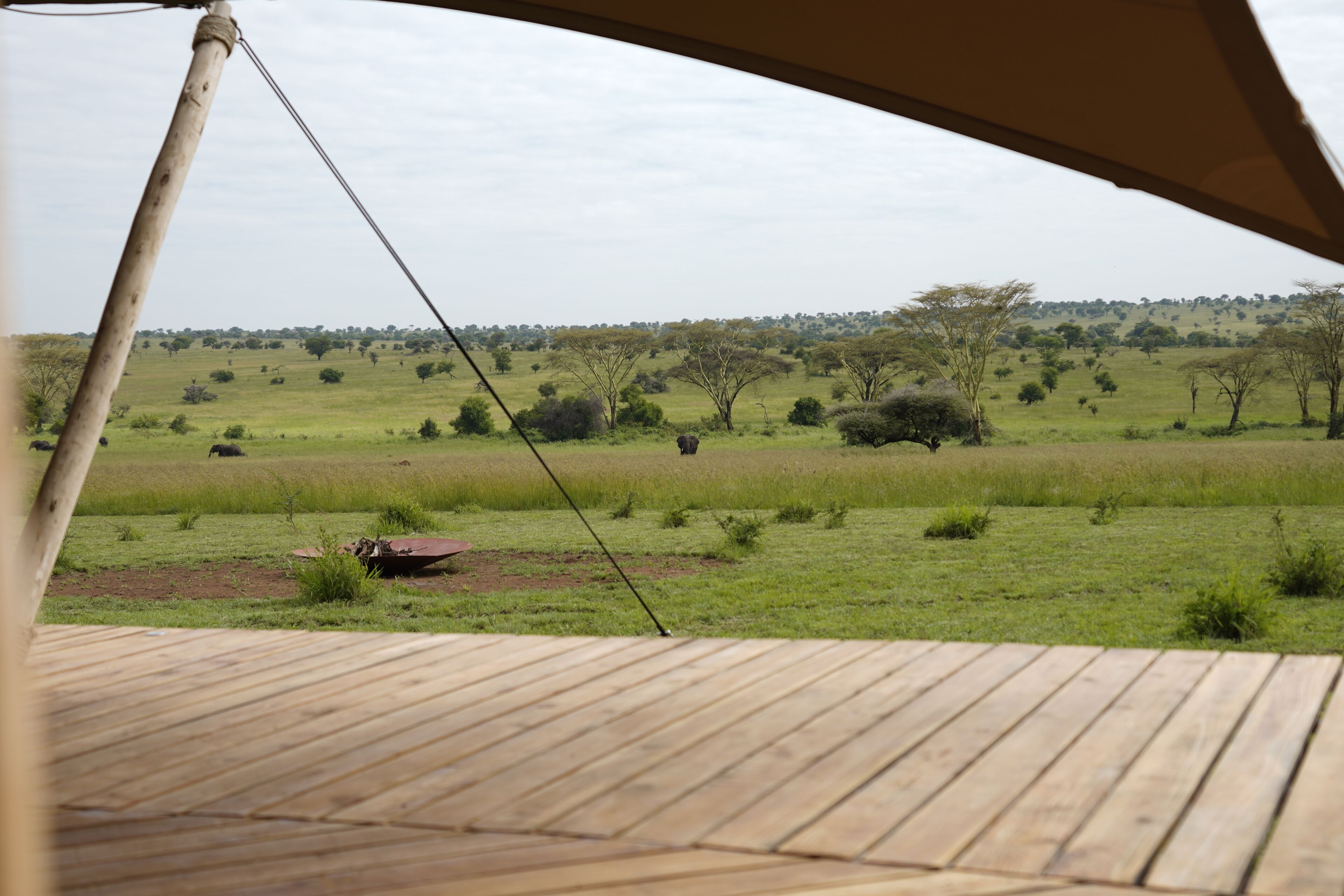 Una terraza de madera con vistas a un paisaje de sabana cubierta de hierba.