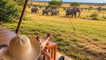 A person relaxing on a wooden deck with a view of elephants in a grassy savannah.