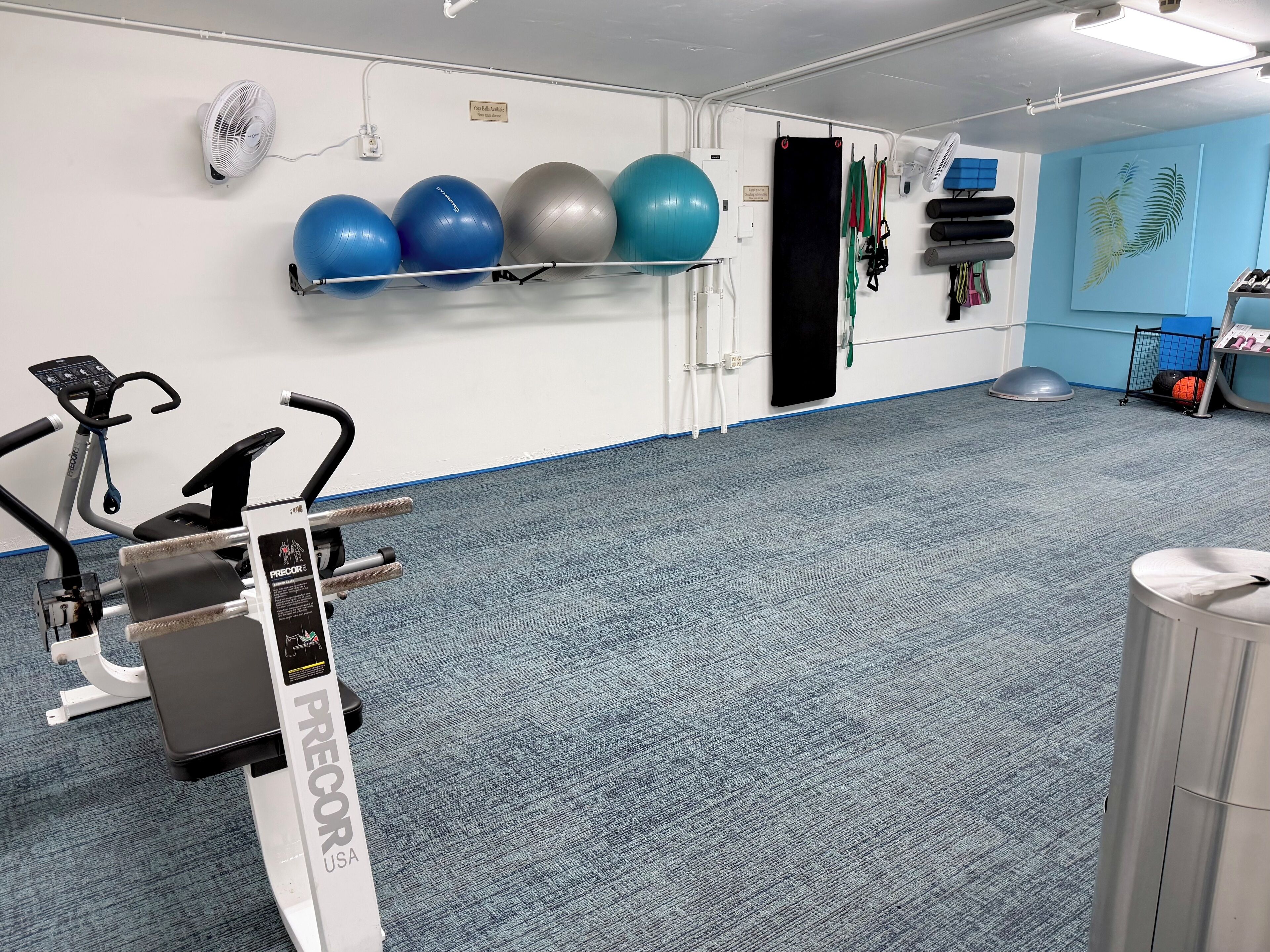 A gym with exercise equipment, a wall-mounted fan, and exercise balls.