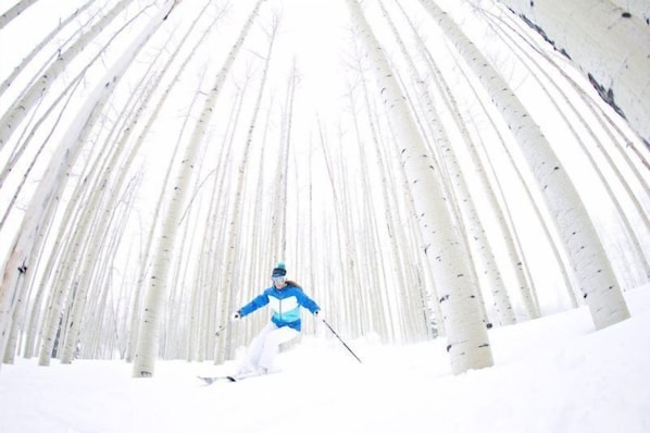 A person skiing down a snowy slope with birch trees in the background.