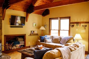 Älytelevisio, kirjoja