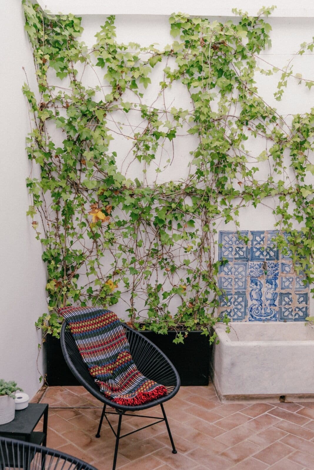 A chair with a colorful cushion, a tiled floor, and a wall with climbing plants and blue decorative tiles.
