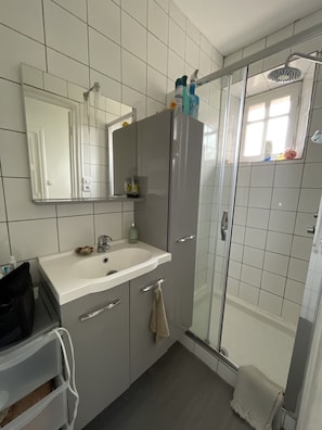 Shower, hair dryer, soap, toilet paper