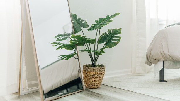 A room with a large mirror, a potted plant, and a bed with a white cover.