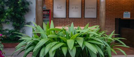A brick wall with framed inspirational quotes, a potted plant in the foreground, and a Coca-Cola refrigerator in the background.
