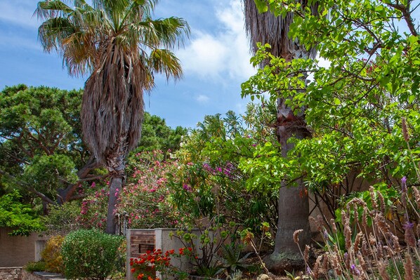 Jardines del alojamiento