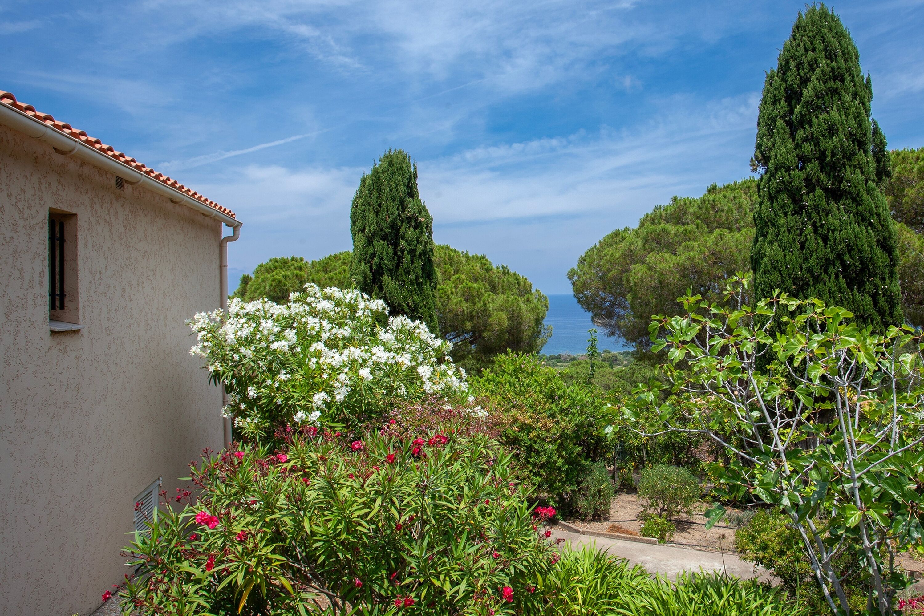 A building with a tiled roof, surrounded by lush greenery and flowering plants.