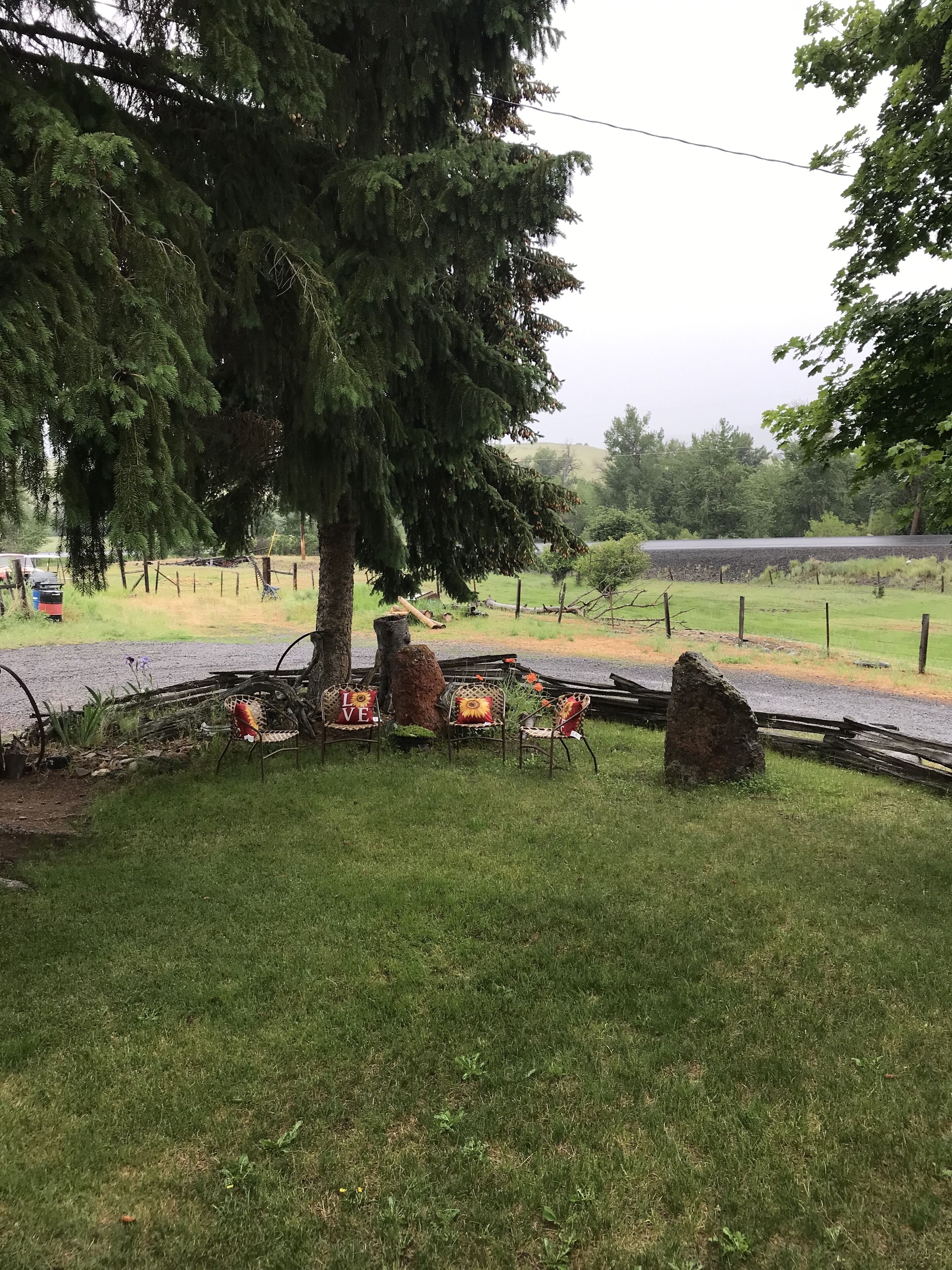 A rustic outdoor seating area with wooden chairs and a large tree.